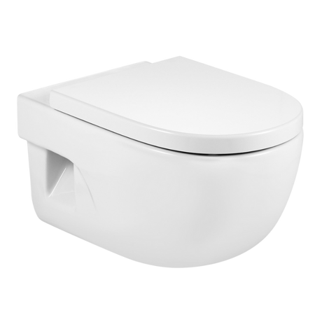 Toalettsitsar Roca Meridian